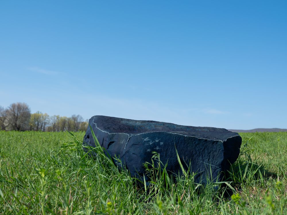An individual boulder in Dionne Lee's outdoor installation, which has been treated with a cyanotype process to turn it a deep shade of blue and etched wtih delicate...