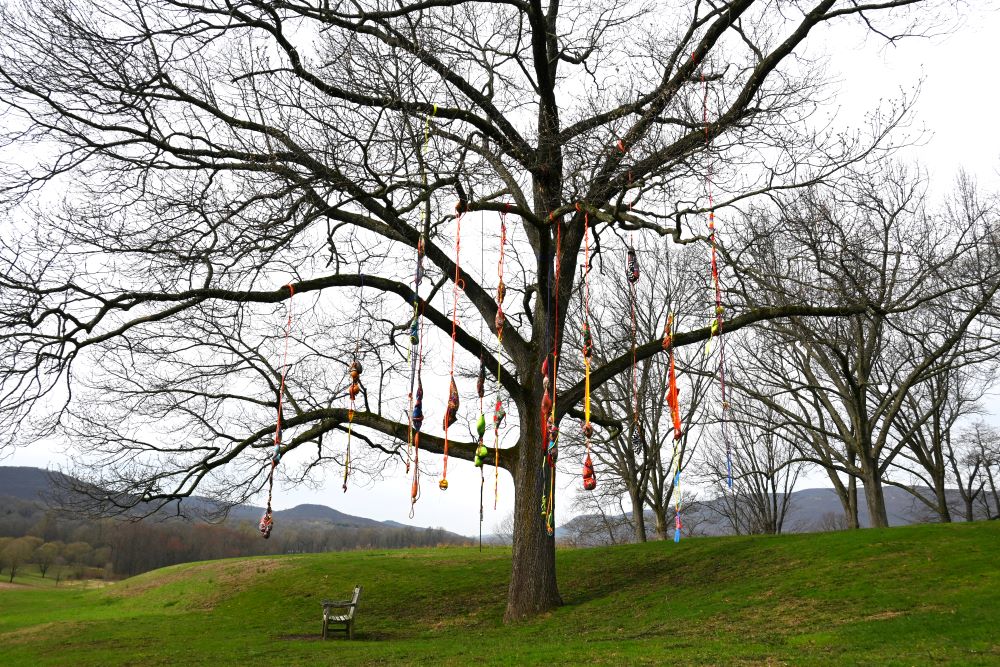 Sonia Gomes's colorful fabric sculptures hang like pendulums from tree branches with spring buds.